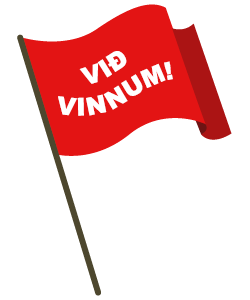 vefur_fani